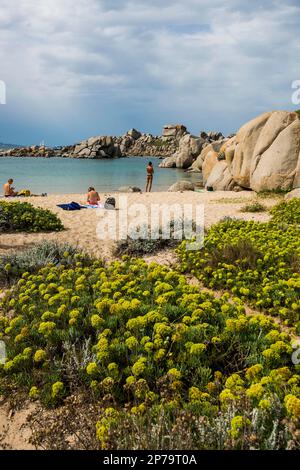 Rochers de granit et plage de sable, Tafoni, îles Lavezzi, Iles Lavezzi, Bonifacio, Corse-du-Sud, Corse, Mer méditerranée, France Banque D'Images