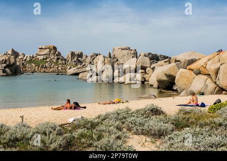 Rochers de granit et plage de sable, Tafoni, îles Lavezzi, Iles Lavezzi, Bonifacio, Corse-du-Sud, Corse, Mer méditerranée, France Banque D'Images