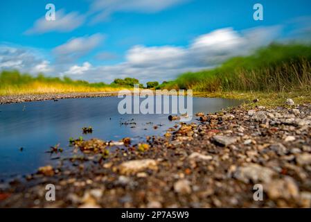 Flaques d'eau sur une route de terre Banque D'Images