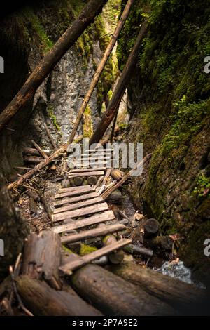 Échelles en bois sur le ruisseau dans les gorges du paradis slovaque. Slovaquie, Parc national de Slowacki Raj, Slovaquie, Europe Banque D'Images