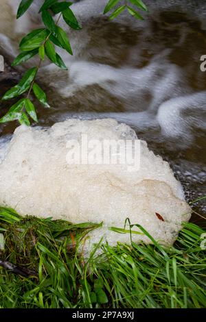 Bol en mousse sale et sale flottant sur une petite surface d'eau courante gros plan ne personne. Banque D'Images