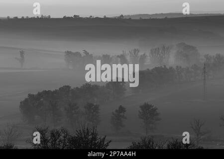 Magnifiques champs moraves avec des avenues d'arbres enveloppées dans le brouillard du matin. République tchèque, Moravie, République tchèque, Europe Banque D'Images