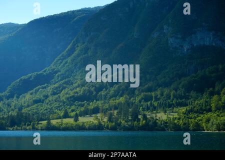 Soleil latéral sur les pentes boisées de montagne au-dessus du lac Wochein (Bohinjsko jezero) . Slovénie, Stara Fuzina, Parc national de Triglav Banque D'Images