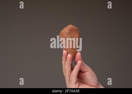 Patate douce brune brute tenue par main mâle, gros plan studio, isolé. Banque D'Images