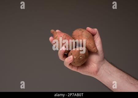 3 patates douces brunes crues conservées à la main d'un homme, gros plan en studio, isolées. Banque D'Images