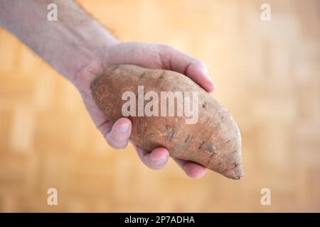 Grande patate douce brune fraîche tenue dans la main de l'homme. Gros plan, vue de dessus, arrière-plan brun avec effet de flou. Banque D'Images