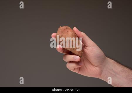 Patate douce brune brute tenue par main mâle, gros plan studio, isolé. Banque D'Images