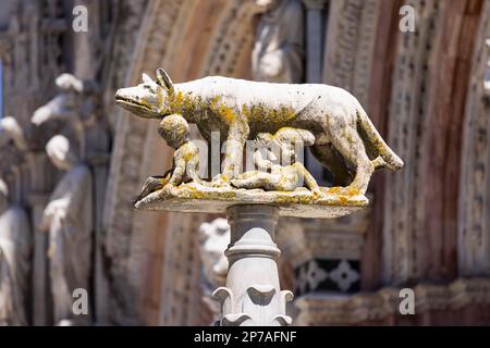 Romulus et Remus, statue en face de la cathédrale de Sienne. Selon la mythologie romaine, ils sont les fondateurs de la ville de Rome, Sienne, Italie Banque D'Images