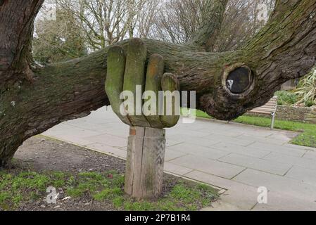 Une main d'aide. Une sculpture en bois de John Butler qui tient une branche d'arbre pour l'empêcher de se briser. Bideford. Devon. Angleterre. ROYAUME-UNI 2023 Banque D'Images