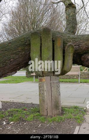 Une main d'aide. Une sculpture en bois de John Butler qui tient une branche d'arbre pour l'empêcher de se briser. Bideford. Devon. Angleterre. ROYAUME-UNI 2023 Banque D'Images