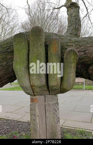 Une main d'aide. Une sculpture en bois de John Butler qui tient une branche d'arbre pour l'empêcher de se briser. Bideford. Devon. Angleterre. ROYAUME-UNI 2023 Banque D'Images