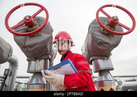 (230308) -- HARBIN, 8 mars 2023 (Xinhua) -- l'ouvrier du gaz Wang Chaobo est photographié dans une zone de travail de l'Oilfield de Daqing, à Daqing, dans la province de Heilongjiang, au nord-est de la Chine, au 7 mars 2023. Les entreprises de la province de Heilongjiang, une ancienne base industrielle du nord-est de la Chine, ont fait des progrès vers l'objectif d'un bon départ au premier trimestre de 2023. De nombreuses travailleuses jouent un rôle actif dans divers milieux de travail. La Journée internationale de la femme, célébrée mercredi, est une occasion unique de rendre hommage à la « puissance de l'homme ». (Xinhua/Zhang Tao) Banque D'Images