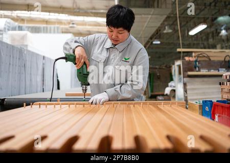 (230308) -- HARBIN, 8 mars 2023 (Xinhua) -- le travailleur Xiao Qingxia est photographié lors d'un atelier d'une entreprise de fabrication de meubles à Qitaihe, dans la province de Heilongjiang, au nord-est de la Chine, au 7 mars 2023. Les entreprises de la province de Heilongjiang, une ancienne base industrielle du nord-est de la Chine, ont fait des progrès vers l'objectif d'un bon départ au premier trimestre de 2023. De nombreuses travailleuses jouent un rôle actif dans divers milieux de travail. La Journée internationale de la femme, célébrée mercredi, est une occasion unique de rendre hommage à la « puissance de l'homme ». (Xinhua/Xie Jianfei) Banque D'Images