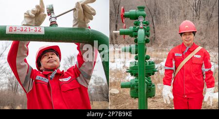 (230308) -- HARBIN, 8 mars 2023 (Xinhua) -- cette photo combinée montre le pumper Wang Lina qui travaille (L) et pose pour une photo dans une zone de travail de l'Oilfield de Daqing à Daqing, dans la province de Heilongjiang, au nord-est de la Chine, au 7 mars 2023. Les entreprises de la province de Heilongjiang, une ancienne base industrielle du nord-est de la Chine, ont fait des progrès vers l'objectif d'un bon départ au premier trimestre de 2023. De nombreuses travailleuses jouent un rôle actif dans divers milieux de travail. La Journée internationale de la femme, célébrée mercredi, est une occasion unique de rendre hommage à la « puissance de l'homme ». (Xinhu Banque D'Images