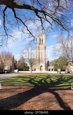 Chapel Drive, Duke University, Durham, Caroline du Nord, montrant une pelouse verte avec une ombre d'arbre nettement définie, une branche d'arbre suspendue et un soleil éclatant Banque D'Images