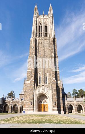 Chapel Drive, Duke University, Durham, Caroline du Nord, montrant une pelouse verte avec une ombre d'arbre nettement définie, une branche d'arbre suspendue et un soleil éclatant Banque D'Images