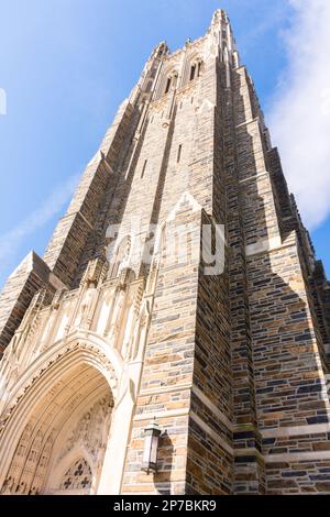 Chapel Drive, Duke University, Durham, Caroline du Nord, montrant une pelouse verte avec une ombre d'arbre nettement définie, une branche d'arbre suspendue et un soleil éclatant Banque D'Images