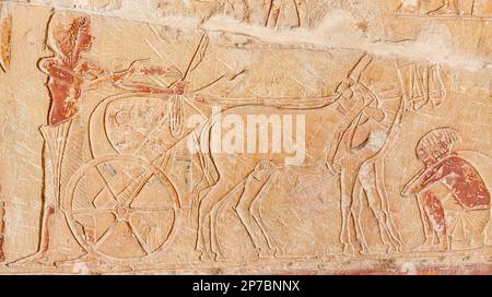 Egypte, Saqqara, tombe de Horemheb, salle intérieure, paroi est côté sud, chevaux et chars attendent Horemheb et hauts officiers. Banque D'Images