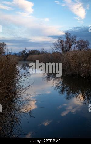 Parc naturel dels Aiguamolls de l'Empordà au lever du soleil Banque D'Images