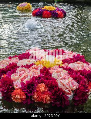 Des fleurs de rangoli colorées flottent dans une piscine d'eau pour célébrer Diwali Banque D'Images