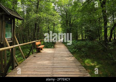 Des planches en bois loin, randonnée dans Red Moor, montagnes de Rhoen - Allemagne Banque D'Images