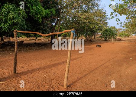 des poteaux en bois et une barre transversale wonky font le but sur un terrain de football de sable vide dans un village africain rural deux petites chèvres marquent le cercle central Banque D'Images