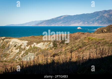 Paysage forestier de Big sur, Californie Banque D'Images