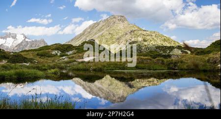 Reflet du pic de Bettmerhorn sur un étang de montagne dans le sentier de randonnée du glacier d'Aletsch Banque D'Images