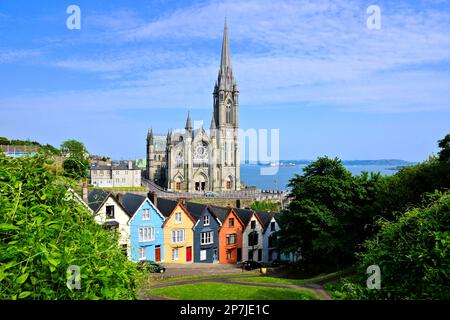 Maisons en rangée colorées avec une cathédrale en arrière-plan dans la ville portuaire de Cobh, comté de Cork, Irlande Banque D'Images