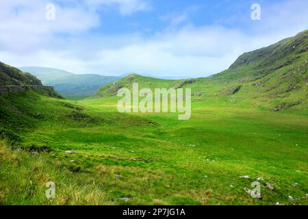 Les champs verdoyants pittoresques de Molls Gap passent le long du Ring of Kerry, en Irlande Banque D'Images