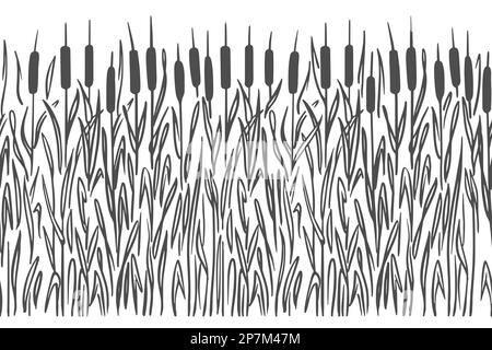 Plante de marais de Bulrush, silhouette sur fond blanc. Motif horizontal sans couture. Style d'esquisse Doodle. Vecteur. Illustration de Vecteur