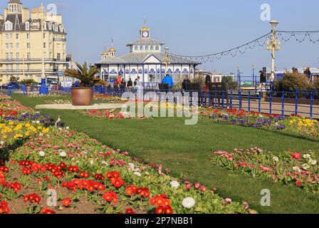 Fleurs printanières plantées dans les jardins sur le front de mer, près de la jetée d'Eastbourne, dans l'est du Sussex Banque D'Images