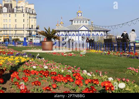 Fleurs printanières plantées dans les jardins sur le front de mer, près de la jetée d'Eastbourne, dans l'est du Sussex Banque D'Images