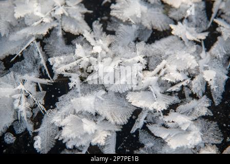 Fleurs de givre uniques et impressionnantes qui se sont formées sur la première couche de glace à geler sur le lac. Abstrait, incroyable, beau, joli fond. Banque D'Images