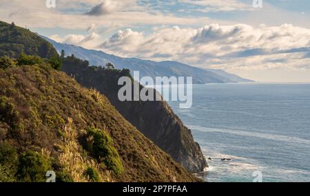 Paysage forestier de Big sur, Californie Banque D'Images