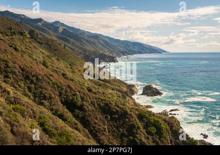 Paysage forestier de Big sur, Californie Banque D'Images