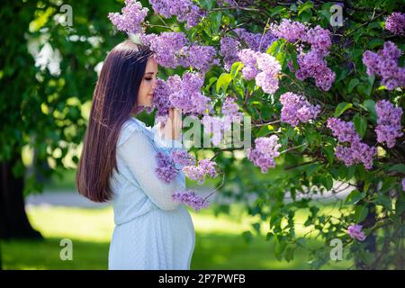 une fille en robe bleue renifle les fleurs de lilas dans le jardin Banque D'Images