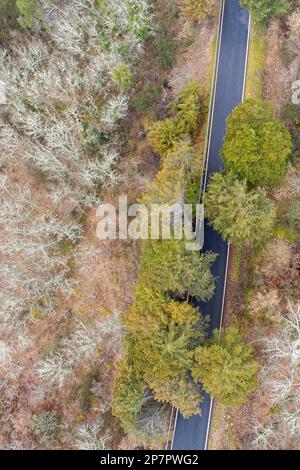 drone zenithal vue aérienne d'une route dans la forêt Banque D'Images