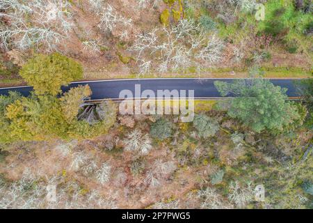 drone zenithal vue aérienne d'une route à travers la forêt Banque D'Images