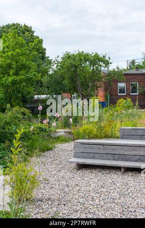 Un banc en bois vous invite à vous attarder dans le petit jardin potager sauvage sur l'ancien parc industriel surcultivé de Hambourg. Le sol est de Banque D'Images