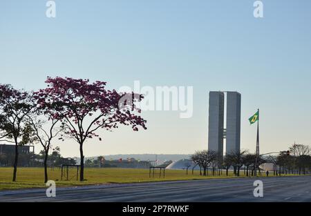 Photo montre une partie de l'Esplanade des ministères avec le Palais National des Congrès en arrière-plan dans la ville de Brasilia, capitale du Brésil. Banque D'Images