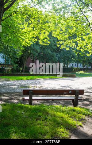 Banc en bois sous érable, Acer palmatum, vous invite à vous attarder et à vous arrêter, dans un parc de Hambourg. Un mur de siège en pierres à l'arrière-plan Banque D'Images