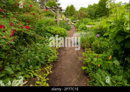 Jardin ombragé au jardin Larkwhistle en juin près de Tobermory, Ontario. Banque D'Images