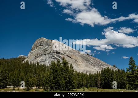 Lembert Dome entouré de pins dans le parc national de Yosemite Banque D'Images