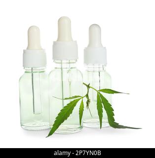 Bouteilles de cosmétiques de chanvre avec feuilles vertes isolées sur blanc Banque D'Images