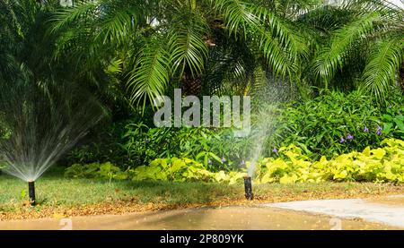 Système d'irrigation sprinkleur d'un jardin tropical au Mexique par une journée ensoleillée Banque D'Images