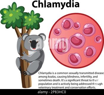 Chlamydia trachomatis avec illustration explicative Illustration de Vecteur