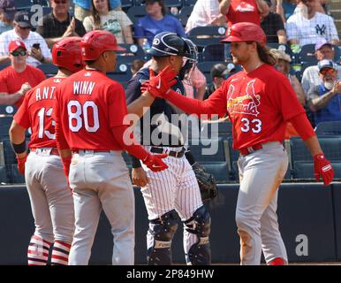 Tampa, États-Unis. 08th mars 2023. St. Louis Cardinals Brendan Donovan est félicité par Mike Antico (à gauche) et Masyn Winn, après avoir salué les New York Yankees lors d'un match d'entraînement de printemps au Steinbrenner Field à Tampa, en Floride, mercredi, à 8 mars 2023. Photo de Mark Abraham/UPI crédit: UPI/Alay Live News Banque D'Images