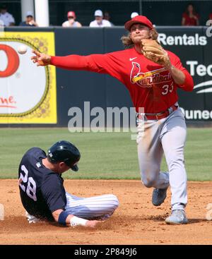 Tampa, États-Unis. 08th mars 2023. Josh Donaldson des New York Yankees est en deuxième position lors du match d'entraînement de printemps contre la St. Louis Cardinals au Steinbrenner Field, à Tampa, en Floride, mercredi, à 8 mars 2023. Brendan Donovan de cardinaux fait le jet, photo par Mark Abraham/UPI crédit: UPI/Alay Live News Banque D'Images