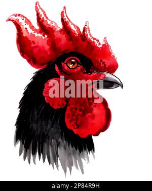 Tête de coq noire. Dessin à l'encre et aquarelle Banque D'Images
